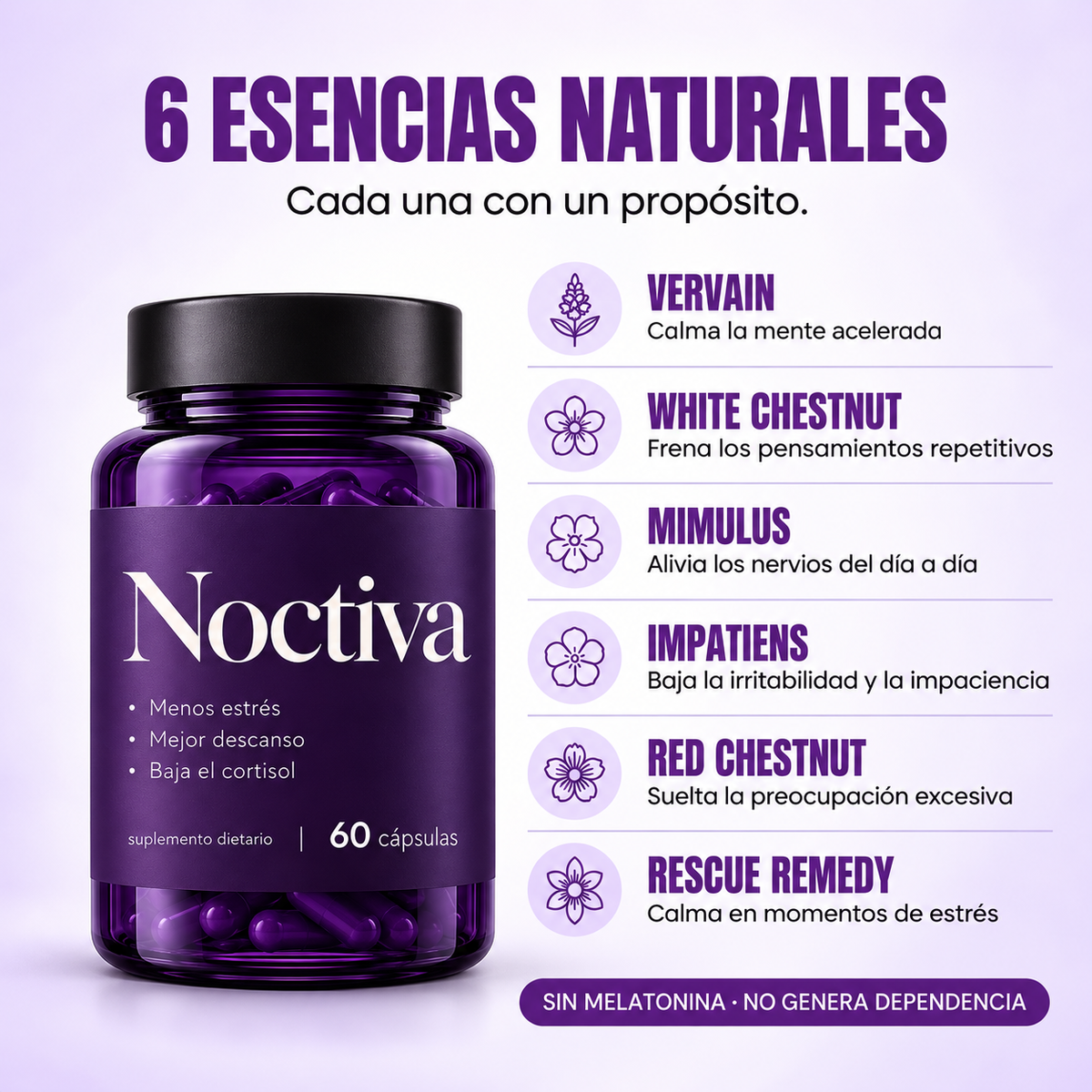 Noctiva® - Reducí el estrés, bajá el cortisol y descansa mejor.